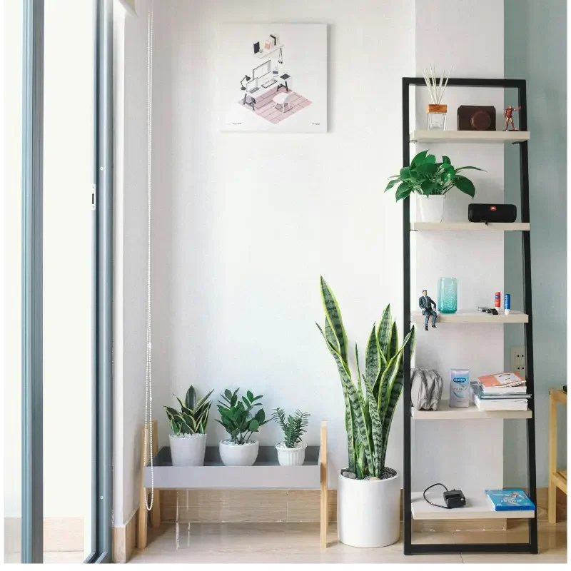 Waterloo house cleaning services